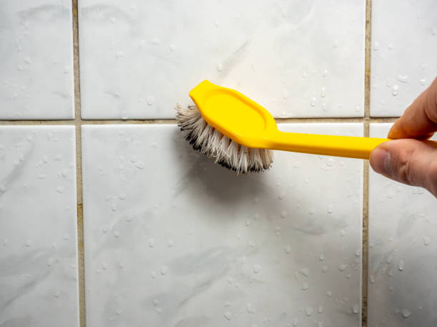 Best Mold Removal Company Near Me  in Ashland City, TN