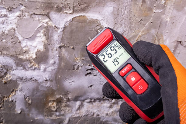 Best Mold Damage Repair  in Ashland City, TN